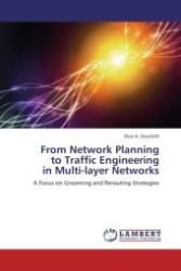 From Network Planning to Traffic Engineering in Multi-layer Networks : A Focus on Grooming and Rerouting Strategies （Aufl. 2012. 272 S.）