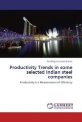 Productivity Trends in some selected Indian steel companies : Productivity is a Measurement of Efficiency （Aufl. 2011. 184 S.）