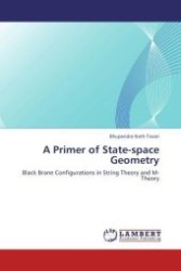 A Primer of State-space Geometry : Black Brane Configurations in String Theory and M-Theory （Aufl. 2011. 140 S.）