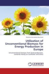 Utilization of Unconventional Biomass for Energy Production in Europe : Unconventional biomass from food production, centered mainly on sunflower and olives （Aufl. 2011. 80 S. 220 mm）