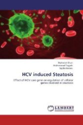 HCV induced Steatosis : Effect of HCV core gene on regulation of cellular genes involved in steatosis （Aufl. 2012. 132 S. 220 mm）