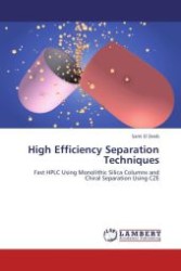 High Efficiency Separation Techniques : Fast HPLC Using Monolithic Silica Columns and Chiral Separation Using CZE （Aufl. 2012. 144 S. 220 mm）