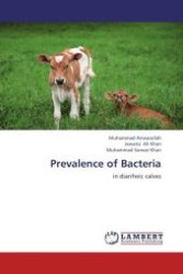 Prevalence of Bacteria : in diarrheic calves （Aufl. 2012. 72 S.）