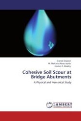Cohesive Soil Scour at Bridge Abutments : A Physical and Numerical Study （Aufl. 2011. 236 S.）