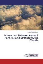 Interaction Between Aerosol Particles and Stratocumulus Clouds （Aufl. 2011. 84 S.）
