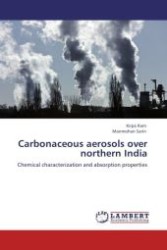 Carbonaceous aerosols over northern India : Chemical characterization and absorption properties （Aufl. 2011. 128 S.）