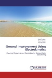 Ground Improvement Using Electrokinetics : Chemical Grouting and Electrokinetic Geosynthetic Dewatering （Aufl. 2012. 184 S.）