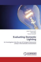 Evaluating Domestic Lighting : An Investigation Into the use of Compact Fluorescent Lamps in the Domestic Environment （Aufl. 2011. 80 S.）