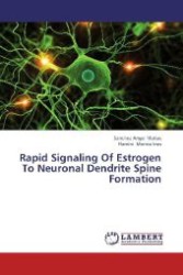 Rapid Signaling Of Estrogen To Neuronal Dendrite Spine Formation （2012. 92 S. 220 mm）