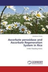Ascorbate peroxidase and Ascorbate Regeneration System in Rice : Under Flooding Stress （Aufl. 2011. 56 S.）