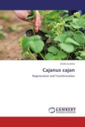 Cajanus cajan : Regeneration and Transformation （Aufl. 2012. 156 S.）