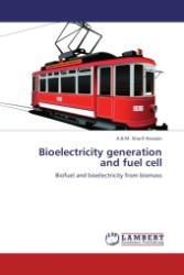 Bioelectricity generation and fuel cell : Biofuel and bioelectricity from biomass （Aufl. 2011. 76 S.）