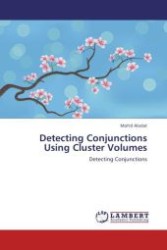 Detecting Conjunctions Using Cluster Volumes : Detecting Conjunctions （Aufl. 2012. 68 S.）