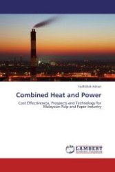 Combined Heat and Power : Cost Effectiveness, Prospects and Technology for Malaysian Pulp and Paper Industry （Aufl. 2012. 100 S.）