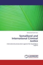 Somaliland and International Criminal Justice : international prosecution against the Siyad Barre regime （Aufl. 2012. 84 S.）