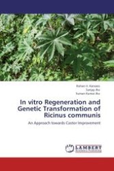 In vitro Regeneration and Genetic Transformation of Ricinus communis : An Approach towards Castor Improvement （Aufl. 2012. 128 S.）