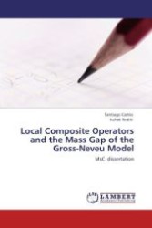 Local Composite Operators and the Mass Gap of the Gross-Neveu Model : MsC. dissertation （Aufl. 2012. 92 S.）