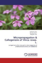 Micropropagation & Callogenesis of Vinca rosea. L. : comparison of in vivo and in vitro response of antimicrobial activity of Sadabahar （Aufl. 2012. 96 S. 220 mm）