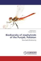 Biodiversity of staphylinids of the Punjab, Pakistan : Rove beetls Biodiversity （Aufl. 2012. 180 S. 220 mm）
