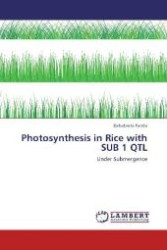 Photosynthesis in Rice with SUB 1 QTL : Under Submergence （Aufl. 2012. 56 S. 220 mm）