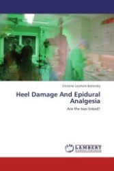 Heel Damage And Epidural Analgesia : Are the two linked? （Aufl. 2012. 144 S.）