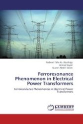 Ferroresonance Phenomenon in Electrical Power Transformers : Ferroresonance Phenomenon in Electrical Power Transformers （Aufl. 2012. 108 S. 220 mm）
