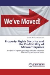 Property Rights Security and the Profitability of Microenterprises : Analysis of Expropriation and Collateral Effects on Ghana's Microenterprise Sector （Aufl. 2012. 80 S. 220 mm）