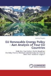 EU Renewable Energy Policy - Aan Analysis of Four EU Countries : Only One Year before the EU Deadline: Are Italy, France, Denmark and Germany on Track to Meet their National Targets? （Aufl. 2012. 92 S. 220 mm）