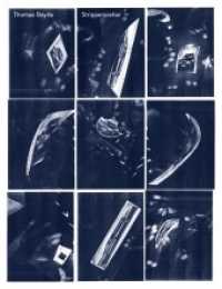 Thomas Bayrle. Strippenzieher （2012. 100 S. 30 cm）