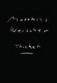 Matthias Weischer: Thicket : Cat. Grimm Gallery （2013. 96 S. 270 mm）