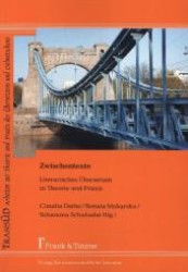 Zwischentexte : Literarisches Übersetzen in Theorie und Praxis (TRANSÜD. Arbeiten zur Theorie und Praxis des Übersetzens und Dolmetschens 52)