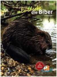 Entdecke die Biber : Mit großem Biberquiz (Entdecke - Die Reihe mit der Eule 32) （2. Aufl. 2018. 64 S. 282 mm）