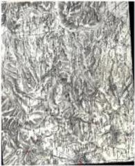 James Morris : Time & Remains of Palestine （2015. 192 S. 95 Abb. 24 x 30 cm）