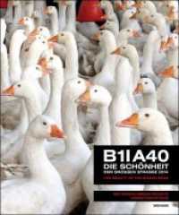 B1 A40 Die Schönheit Der Großen Straße 2014 : The Beauty of the Grand Road