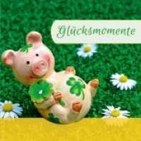 Glücksmomente （2019. 36 S. durchgehend farbig. 16 cm）
