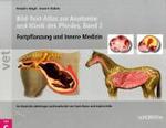 Bild-Text-Atlas zur Anatomie und Klinik des Pferdes Bd.2 : Fortpflanzung und Innere Medizin. Übertr. u. bearb. v. Seven Reese u. Sabine Kölle (vet) （2002. 355 S. m. zahlr. farb. Zeichn. 23 x 29,5 cm）
