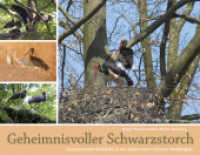 Geheimnisvoller Schwarzstorch : Faszinierende Einblicke in das Leben eines scheuen Waldvogels （1., 2015. 2014. 136 S. 228 Farbfotos. 21 x 28 cm）