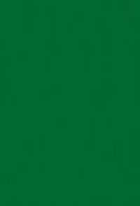 Werke und Briefe. Wissenschaftliche Ausgabe / Die Mittagsg&ouml;ttin : Ein Roman aus dem Geisteskampfe der Gegenwart - Textband (Werke und Briefe. Wissenschaftliche Ausgabe) （1., Aufl.）