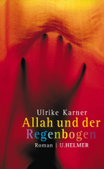 Allah und der Regenbogen （2010. 350 S. 21 cm）