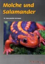 Molche und Salamander （1., Aufl. 2009. 64 S. ca. 100 farb. Abb. 21 cm）