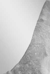 21. Silbertriennale International / 21st Silver Triennial International （2025. 208 S. 169 Abb. 240 cm）