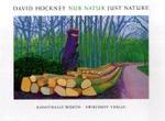 David Hockney -- Hardback