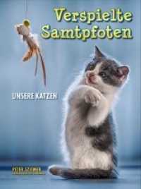 Verspielte Samtpfoten : unsere Katzen （2018. 48 S. Farbfotos. 28 cm）