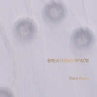 Clara Oppel - BREATHING SPACE （2022. 128 S. 77 Abb. 22 cm）