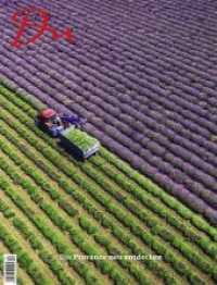 Du Magazin. .884 Die Provence neu entdecken （2018. 98 S. 316 x 240 mm）