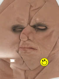 Psychobuch 2