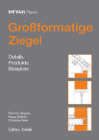 Großformatige Ziegel : Details， Produkte， Beispiele (Detail Praxis)