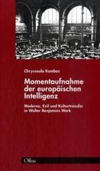Momentaufnahme der europäische Intelligenz : Moderne, Exil und Kulturtransfer in Walter Benjamins Werk （2009. 362 S. 21,5 cm）