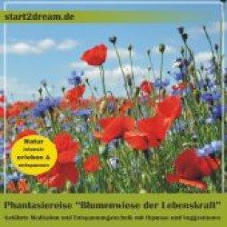 Phantasiereise "Blumenwiese der Lebenskraft", Audio-CD : Geführte Meditation und Entspannungstechnik mit Hypnose und Suggestionen （2012. 124 x 138 mm）