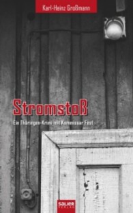 Stromstoß : Ein Thüringen-Krimi mit Kommissar Fest (Kurt Fest Bd.5) （1. Aufl. 2013. 296 S. 190 mm）